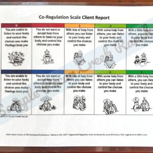 Laminated Co-Regulation Scale Client Report