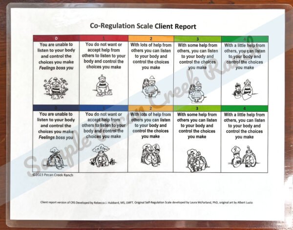 Laminated Co-Regulation Scale Client Report