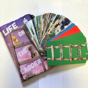 Life on the Ladder Cards